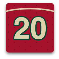 Minnesota Wild Fan