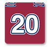 Montreal Alouettes Fan