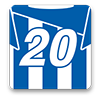 Sheffield Wednesday Fan