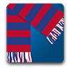 Crystal Palace FC Game