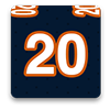 Chicago Bears Fan