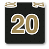 New Orleans Saints Fan