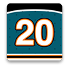 San Jose Sharks Fan