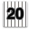 Chicago White Sox Fan