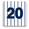 New York Yankees Fan