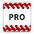 Professional Baseball